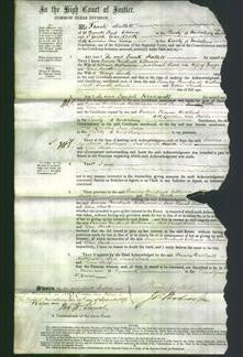 Court of Common Pleas - Frances Bricknell Wilkinson, Joet Sarah Searle and Ellen Smith-Original Ancestry