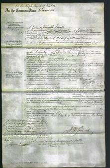 Court of Common Pleas - Elizabeth Harrison-Original Ancestry