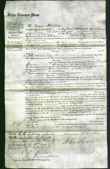 Court of Common Pleas - Elizabeth Nevil-Original Ancestry