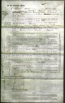 Court of Common Pleas - Eliza Williams-Original Ancestry