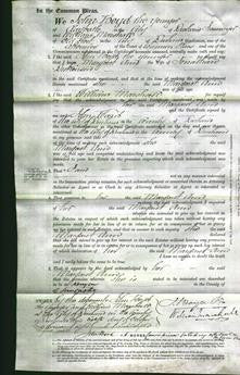 Court of Common Pleas - Margaret Ann Dickinson-Original Ancestry