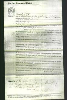 Court of Common Pleas - Emma Ivory and Hannah Sanders-Original Ancestry