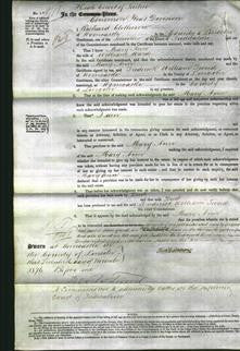 Court of Common Pleas - Mary Ann Ward-Original Ancestry