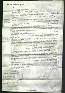 Court of Common Pleas - Harriet Smoothy Batson-Original Ancestry