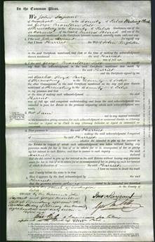 Court of Common Pleas - Harriet Leighton-Original Ancestry