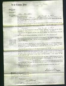 Court of Common Pleas - Ann Susannah Bunyar-Original Ancestry