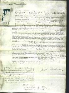 Court of Common Pleas - Grace Pethick-Original Ancestry