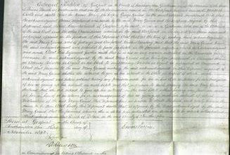 Court of Common Pleas - Mary Grimes-Original Ancestry