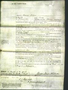 Court of Common Pleas - Ann Campion-Original Ancestry