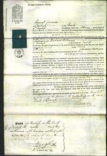 Court of Common Pleas - Jane Roberts-Original Ancestry