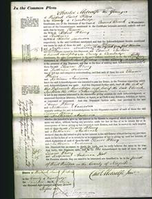 Court of Common Pleas - Eleanor Whorry and Katherine Anderson-Original Ancestry