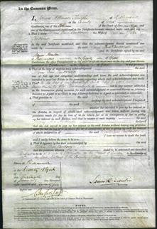 Court of Common Pleas - Mary Ann Anderson-Original Ancestry