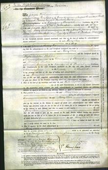 Court of Common Pleas - Mary Ann Jones-Original Ancestry