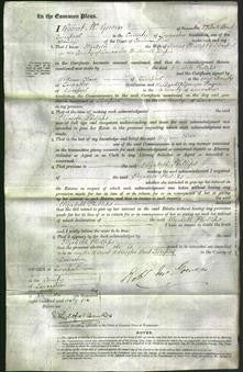 Court of Common Pleas - Elizabeth Phillips-Original Ancestry