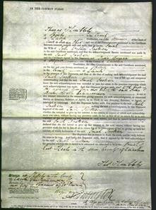 Court of Common Pleas - Sarah Jackson-Original Ancestry