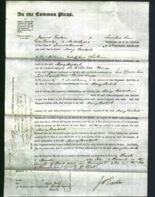 Court of Common Pleas - Mary Bostock Challenor-Original Ancestry