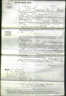 Court of Common Pleas - Jane Emmerson-Original Ancestry