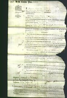 Court of Common Pleas - Mary Fanny Berkeley-Original Ancestry