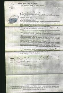 Court of Common Pleas - Johanna Maria Puzey-Original Ancestry