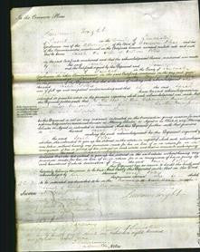 Court of Common Pleas - Sarah Peters-Original Ancestry
