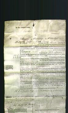 Court of Common Pleas - Marry Ann Applin-Original Ancestry