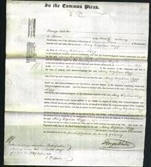 Court of Common Pleas - Mary Wigham Legg-Original Ancestry