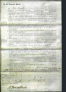Court of Common Pleas - Jane Stephenson, Ann Newcombe and Sarah Oliver-Original Ancestry