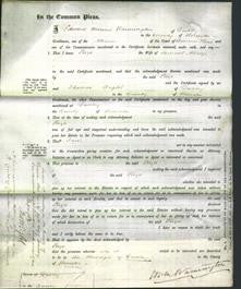 Court of Common Pleas - Eliza Allsop-Original Ancestry