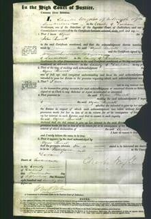 Court of Common Pleas - Agnes Bewick-Original Ancestry