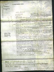 Court of Common Pleas - Rachael Barkas-Original Ancestry