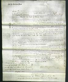 Court of Common Pleas - Rachel Park-Original Ancestry