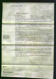Court of Common Pleas - Jane Musgrave-Original Ancestry