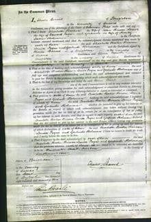 Court of Common Pleas - Charlotte Hooker Hinson, Louisa Payne and Gertrude Holman-Original Ancestry