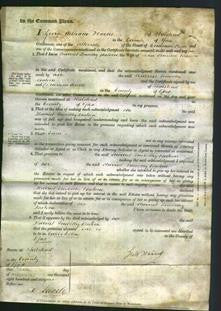 Court of Common Pleas - Harriet Smoothy Batson-Original Ancestry