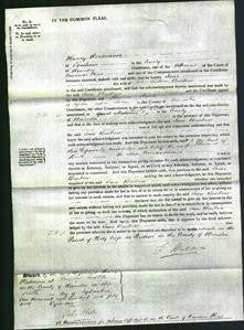 Court of Common Pleas - Jane Benbow-Original Ancestry