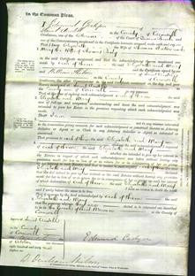 Court of Common Pleas - Elizabeth Stocker and Mary Body-Original Ancestry