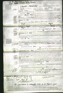 Court of Common Pleas - Ann Plant-Original Ancestry