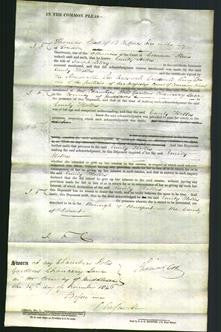 Court of Common Pleas - Emily Holles Lilley-Original Ancestry