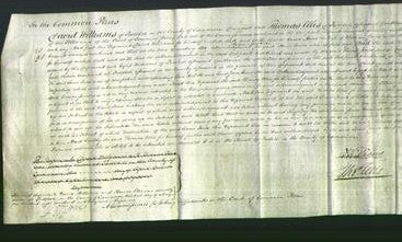 Court of Common Pleas - Anne Jones-Original Ancestry