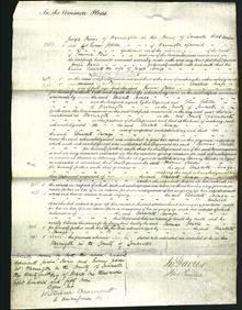 Court of Common Pleas - Elizabeth Savage-Original Ancestry