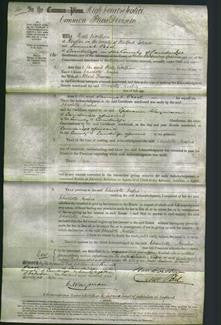 Court of Common Pleas - Charlotte Amelia Francis-Original Ancestry