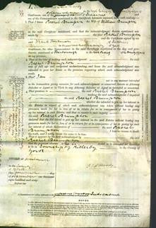 Court of Common Pleas - Rachel Brumpton-Original Ancestry