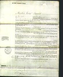 Court of Common Pleas - Mary Shark-Original Ancestry