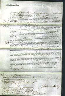 Court of Common Pleas - Elizabeth Palmer-Original Ancestry