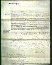 Court of Common Pleas - Lucy Partridge-Original Ancestry