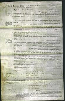 Court of Common Pleas - Jane Holdcroft-Original Ancestry