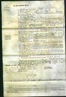 Court of Common Pleas - Comfort James-Original Ancestry