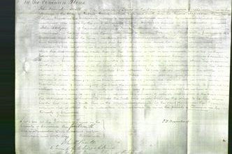 Court of Common Pleas - Margaret Broad-Original Ancestry