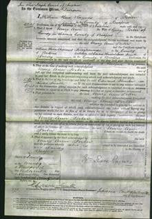 Court of Common Pleas - Mary Ann Porter-Original Ancestry