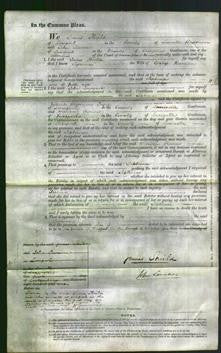 Court of Common Pleas - Septima Kerman-Original Ancestry